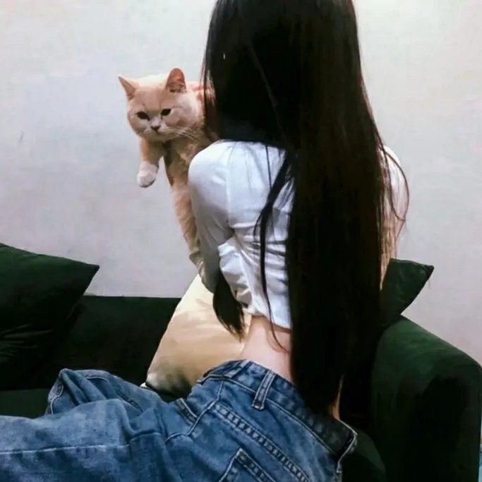 猎鹰飞过